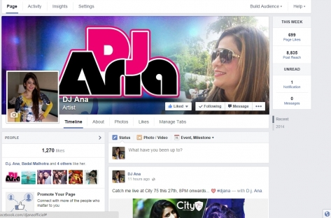 Online Marketing For DJ Ana